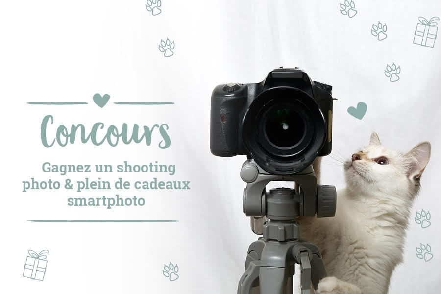 Votre animal de compagnie est une star ?